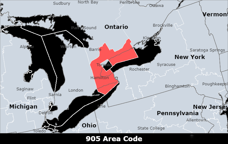 5. Economic and Business Impact of the 905 Area Code