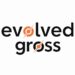 EvolvedGross.com/ – A Comprehensive Overview!